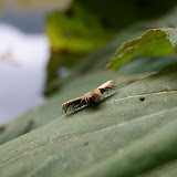 DSC02484.JPG
