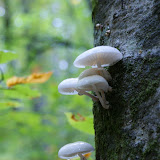 DSC02764.JPG