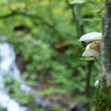 DSC02765.JPG