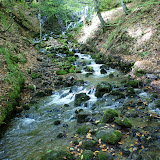 DSC02727.JPG