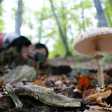 DSC02762.JPG