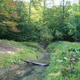 105.jpg