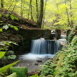 110.jpg