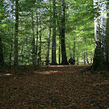 116.jpg