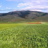 Akdeniz_006.jpg