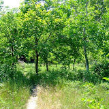 bilecik_054.jpg