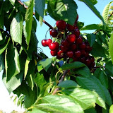 bilecik_072.jpg