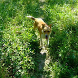bilecik_087.jpg