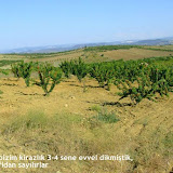 bilecik_067.jpg