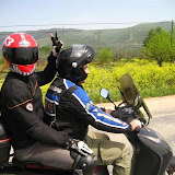 img2463smallms1.jpg