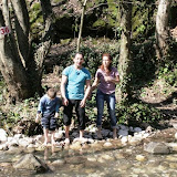 IMG_9558.jpg