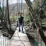 IMG_9559.jpg
