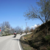 IMG_9566.jpg
