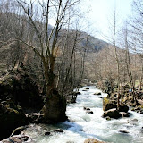 IMG_9408.jpg
