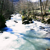 IMG_9412.jpg