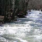 IMG_9489.jpg