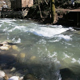 IMG_9509.jpg