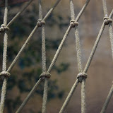 DSC_2634.JPG