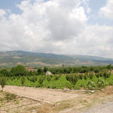 DSC_0114.JPG