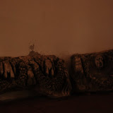 DSC_0171.JPG