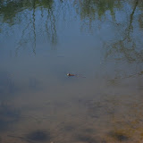 DSC_2553.JPG