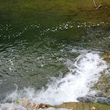 DSC01017.JPG