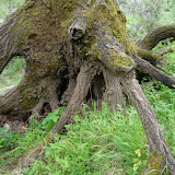DSC01048.JPG