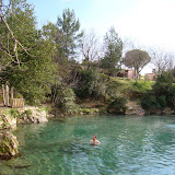 DSC00879.JPG