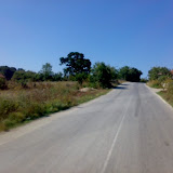 020720081510wp9.jpg