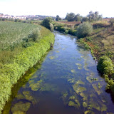 020720081567gk3.jpg