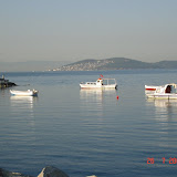 DSC03413.JPG