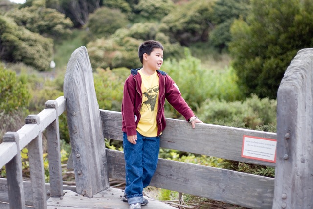 [20100815DiscoveryMuseum (39 of 112)[2].jpg]