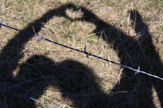 [23 Fun Daring Things[2].jpg]