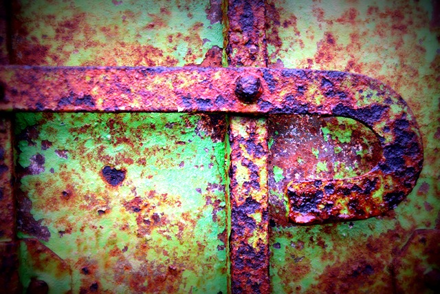 [Birthday Day 132a[2].jpg]