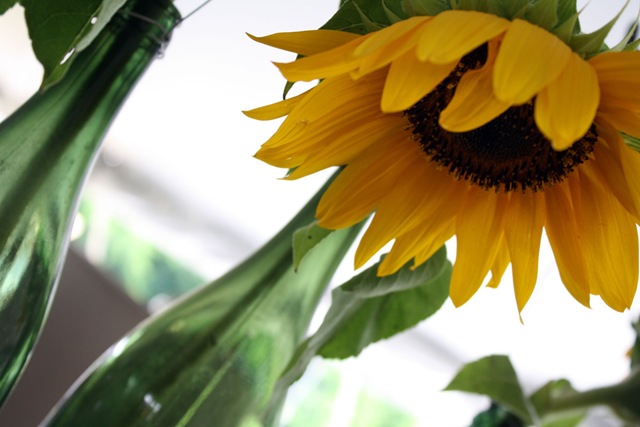 [Urban Market 499a[2].jpg]