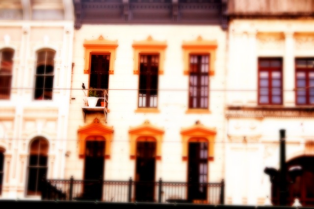 [Urban Market 1021a[2].jpg]