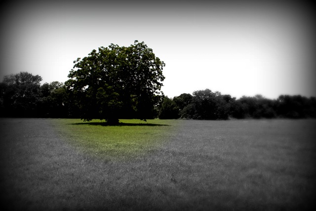 [15 - Resolutiona[2].jpg]