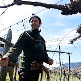 PotaturaEnantio2010-4.jpg