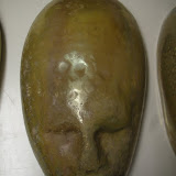 SANY0764.JPG