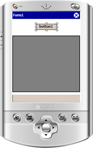 [img_04a_controls_added_to_form[5].png]