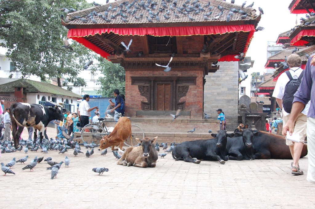[Nepal 2010 -Kathmandu, Durbar Square ,- 22 de septiembre   63[3].jpg]