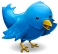 Tweet This