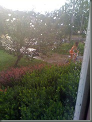 Autumn in the rain