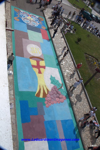 Alfombras Florales del Corpus La Guardia 2010 Galeria I