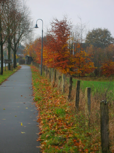 Fall lasted longer, just for us!