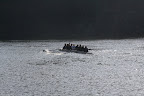 IMG_3763.JPG