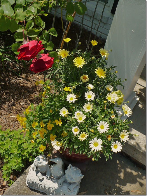 Yellowflowers Yellowflowers