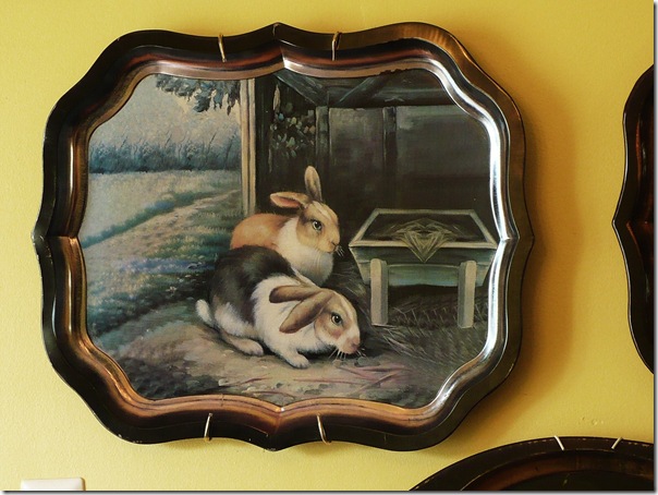 bunnytray bunnytray
