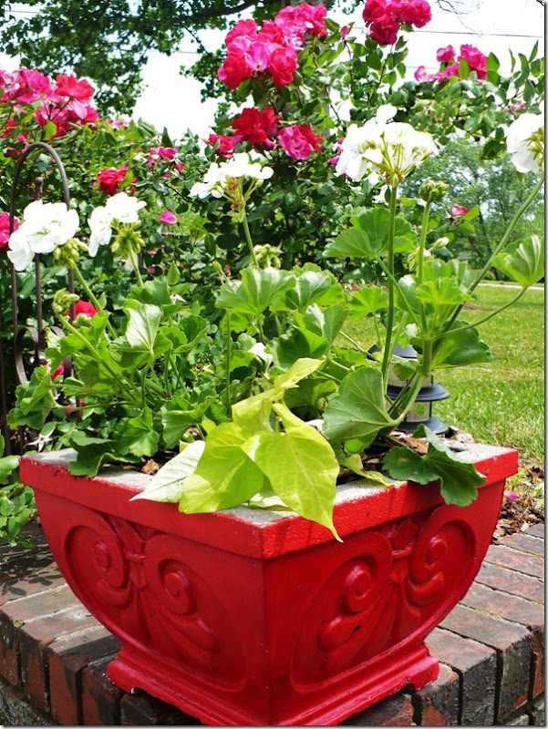 concreteplanter