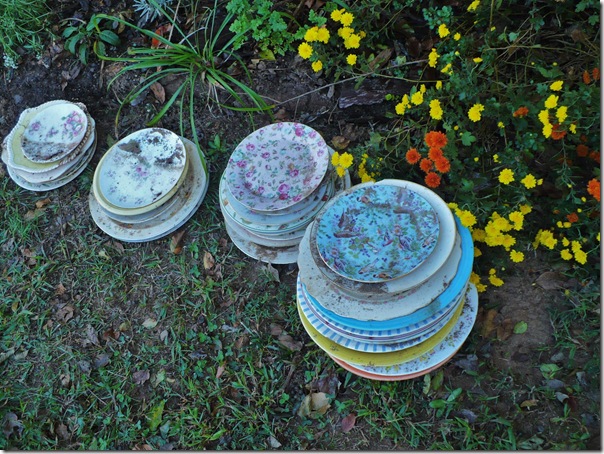 plates plates